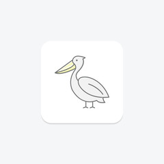 Obraz premium Pelican, vector, pixel perfect, illustrator file