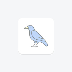 Crow, vector, pixel perfect, illustrator file