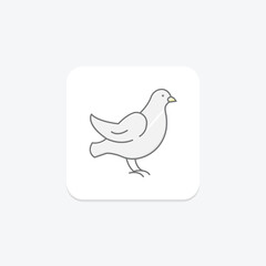 Dove, vector, pixel perfect, illustrator file