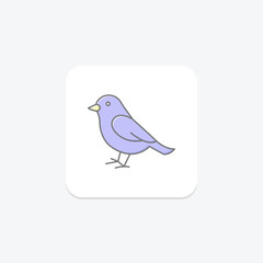 Sparrow, vector, pixel perfect, illustrator file