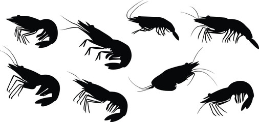 Silhouette depiction of several shrimp scattered across a white background in a pattern design