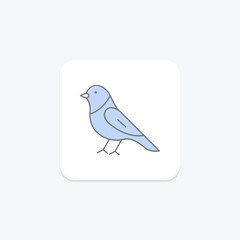 Canary, vector, pixel perfect, illustrator file