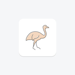 Fototapeta premium Cassowary, vector, pixel perfect, illustrator file