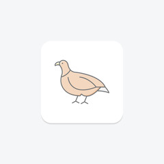 Partridge, vector, pixel perfect, illustrator file