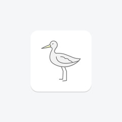 Avocet, vector, pixel perfect, illustrator file