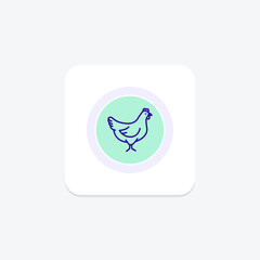 Hen, vector, pixel perfect, illustrator file