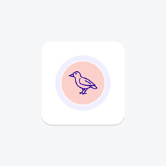 Finch, vector, pixel perfect, illustrator file