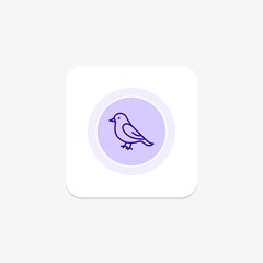 Bluebird, vector, pixel perfect, illustrator file
