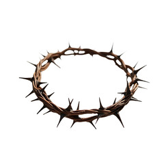 Fototapeta premium crown of thorns on white