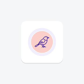 Warbler, vector, pixel perfect, illustrator file