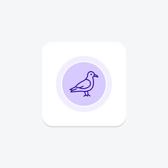 Skua, vector, pixel perfect, illustrator file