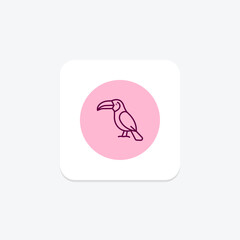 Toucan, vector, pixel perfect, illustrator file