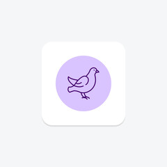 Dove, vector, pixel perfect, illustrator file
