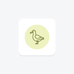 Albatross, vector, pixel perfect, illustrator file