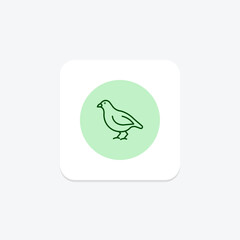 Quail, vector, pixel perfect, illustrator file