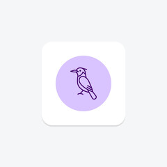 Kingfisher, vector, pixel perfect, illustrator file