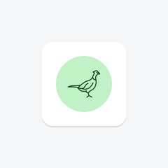 Pheasant, vector, pixel perfect, illustrator file