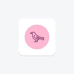 Thrush, vector, pixel perfect, illustrator file