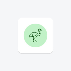 Cassowary, vector, pixel perfect, illustrator file