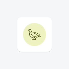Partridge, vector, pixel perfect, illustrator file