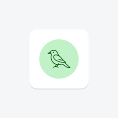 Kingbird, vector, pixel perfect, illustrator file