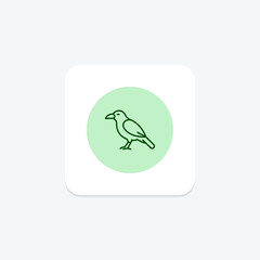 Chough, vector, pixel perfect, illustrator file