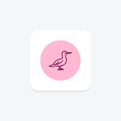 Gannet, vector, pixel perfect, illustrator file