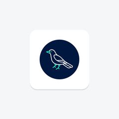 Magpie, vector, pixel perfect, illustrator file
