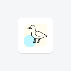 Seagull, vector, pixel perfect, illustrator file