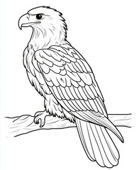 Obraz premium Solemn Eagle Resting Peacefully on Branch Detailed Bird Illustration Line Art Sharp Focus