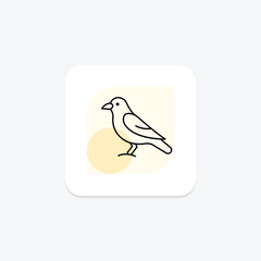 Jackdaw, vector, pixel perfect, illustrator file