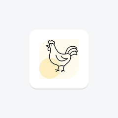 Cockerel, vector, pixel perfect, illustrator file