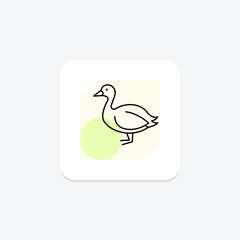Coot, vector, pixel perfect, illustrator file