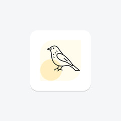 Siskin, vector, pixel perfect, illustrator file