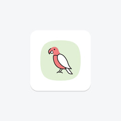 Parrot, vector, pixel perfect, illustrator file