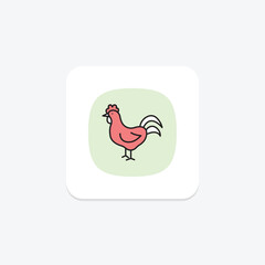 Rooster, vector, pixel perfect, illustrator file