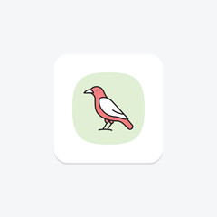 Crow, vector, pixel perfect, illustrator file