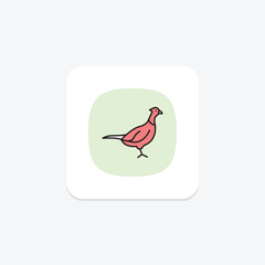 Pheasant, vector, pixel perfect, illustrator file