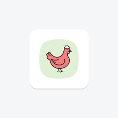 Chicken, vector, pixel perfect, illustrator file