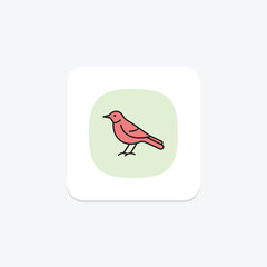 Mockingbird, vector, pixel perfect, illustrator file