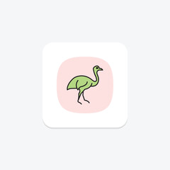 Cassowary, vector, pixel perfect, illustrator file