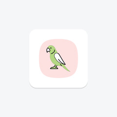 Parakeet, vector, pixel perfect, illustrator file