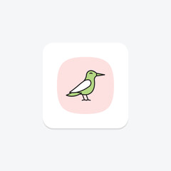 Tern, vector, pixel perfect, illustrator file