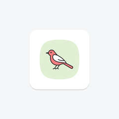 Grouse, vector, pixel perfect, illustrator file