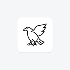 Eagle, vector, pixel perfect, illustrator file