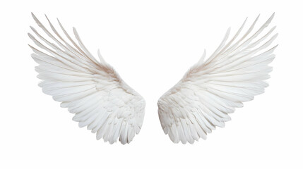 Obraz premium Pair Of White Angel Wings