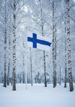 Finland Flag Snowy Forest Birch Trees Winter Background