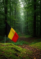 Belgium Flag Ardennes Forest Landscape Background