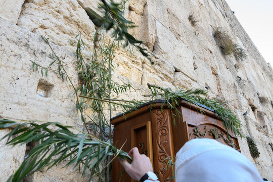 Large willow branches, one of the four plant species used during the observance of Sukkot, held aloft by worshippers at the Western Wall in Jerusalem on the holiday of Hoshana Rabba in Israel.