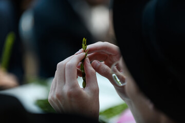 Closeup of a man examining a cut myrtle branch, one of the four plant species used in the ritual...